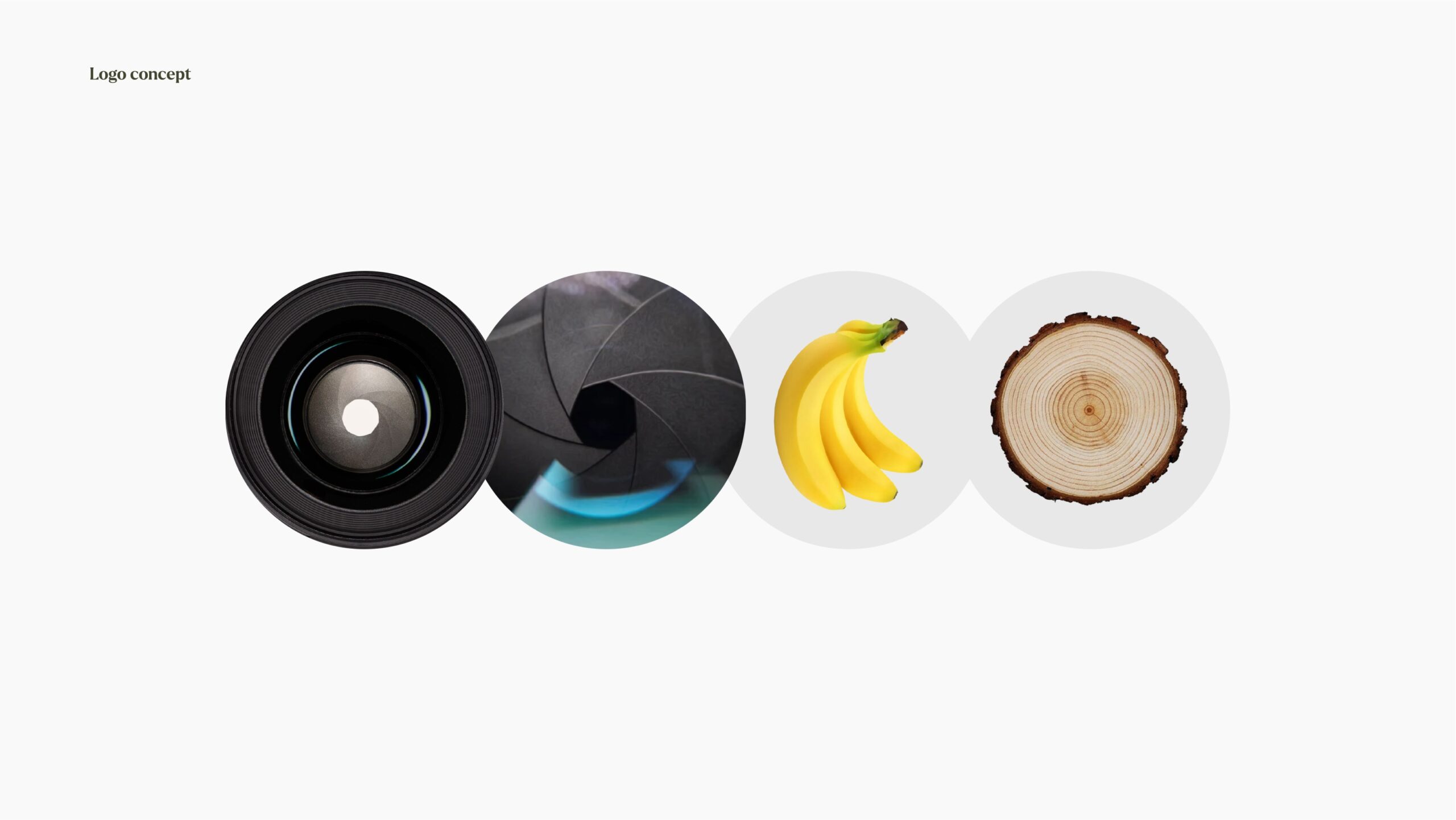 wooden-banana-rebranding-Logo-concept